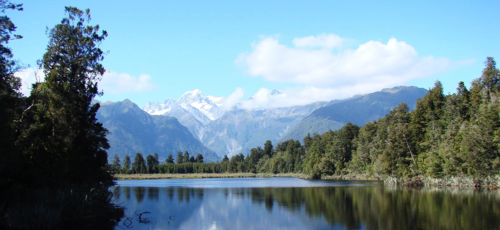 Authentic Treasures From New Zealand