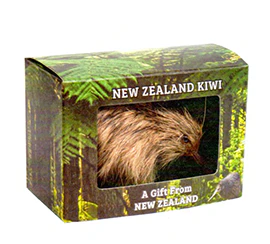 Spotted Kiwi - KIW1 - Image 2